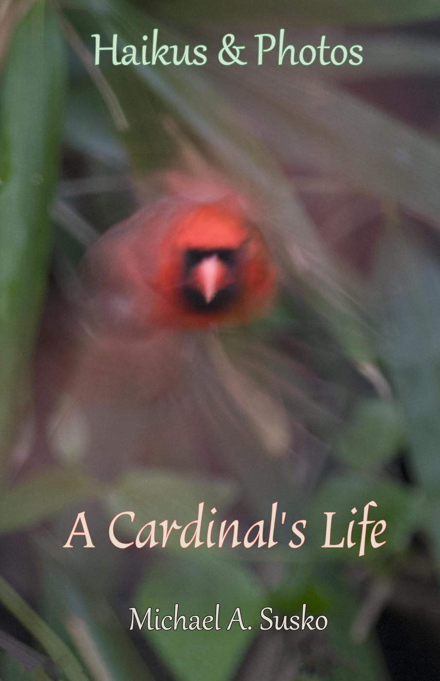 Haikus And Photos A Cardinals Life Michael A Susko