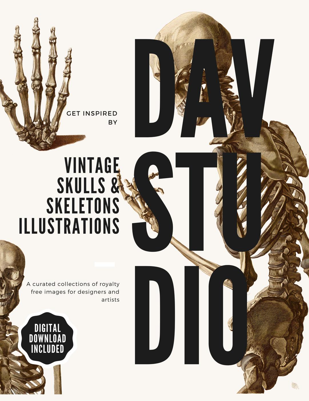 Vintage Skulls Skeletons Illustrations Dav Studio Noah Gibbs