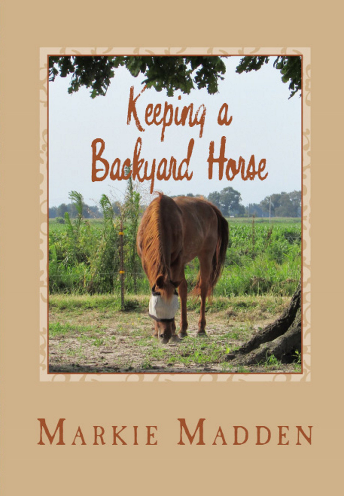 Keeping A Backyard Horse Markie Madden