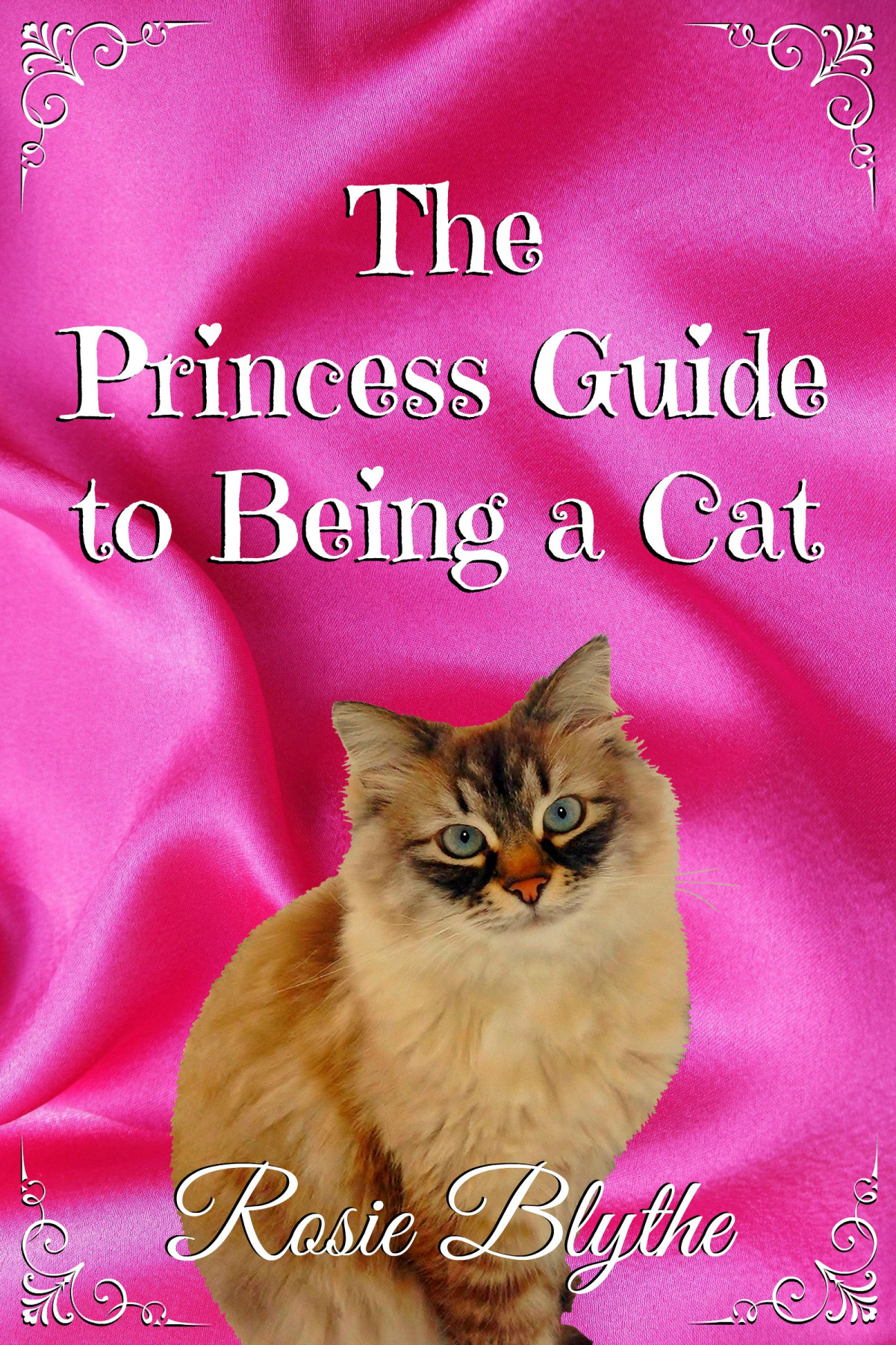 The Princess Guide To Being A Cat Updated With Sample Rosie Blythe