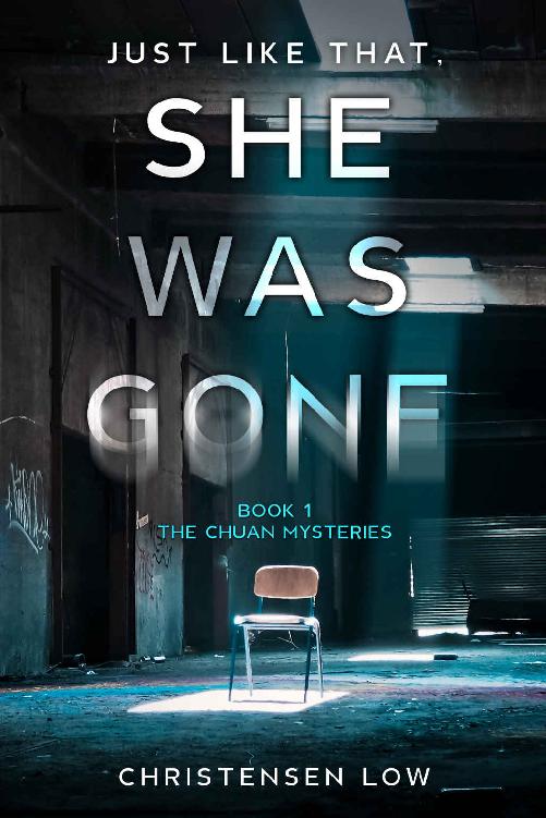 She Was Gone A Gripping Kidnapping Story With Twists And Turns Christensen Low
