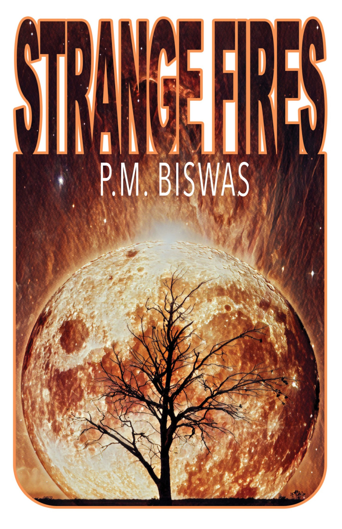Strange Fires Pm Biswas