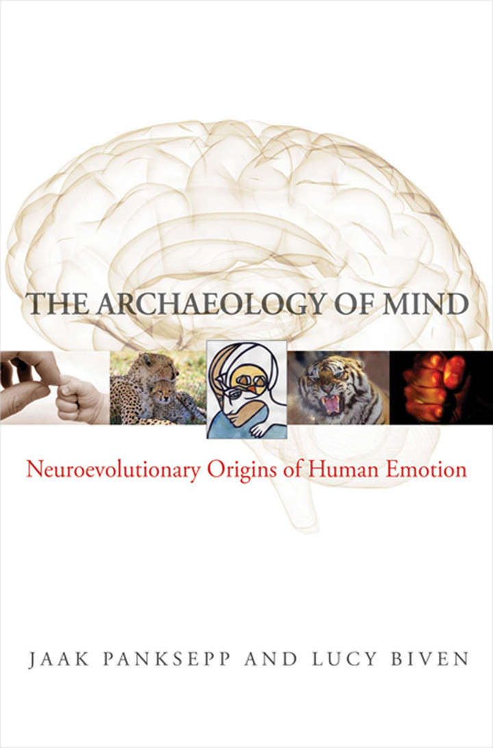 The Archaeology Of Mind Neuroevolutionary Origins Of Human Emotions Jaak Panksepp Lucy Biven