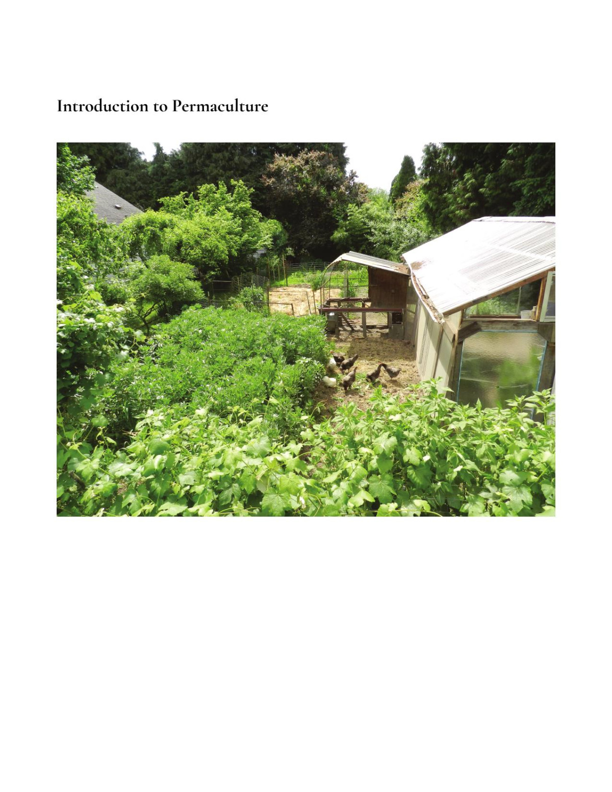 Introduction To Permaculture Andrew Millison