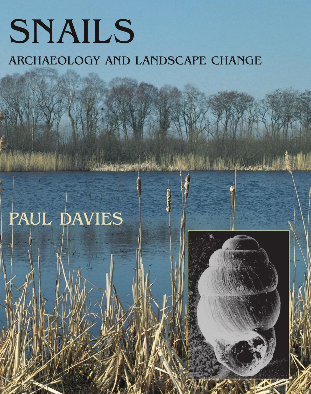 Snails Archaeology And Landscape Change Reprint Paul Davies
