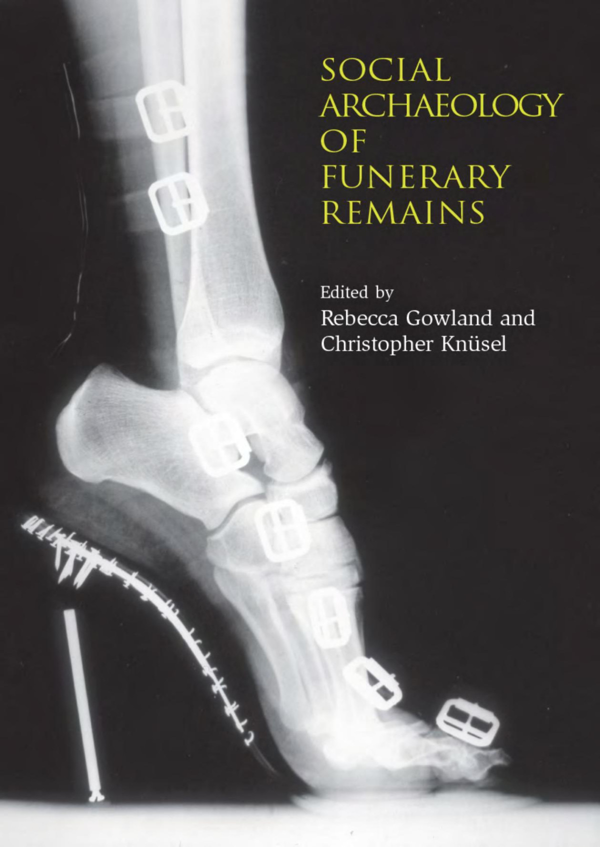 Social Archaeology Of Funerary Remains 2nd Ed Rebecca Gowland