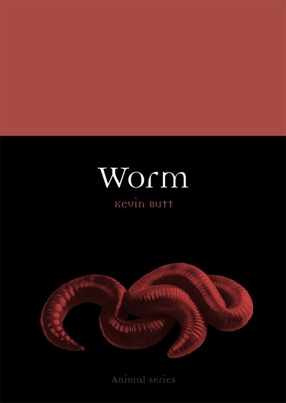 Worm Animal Butt Kevin