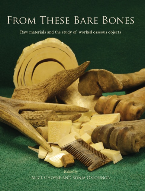 From These Bare Bones Raw Materials And The Study Of Worked Osseous Objects 1st Edition Alice Choyke