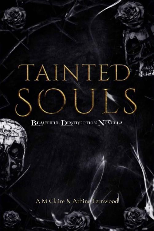 Tainted Souls Beautiful Destruction Novella Athina Fernwood Am Claire