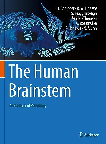 The Human Brainstem Anatomy And Pathology 1st Ed 2023 Schrder