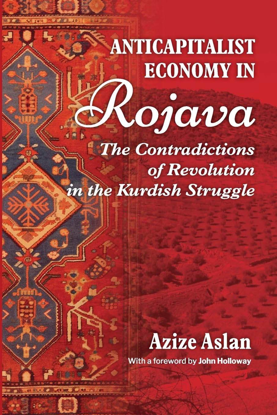 Anticapitalist Economy In Rojava The Contradictions Of The Revolution In The Struggles Of The Kurds Azize Aslan