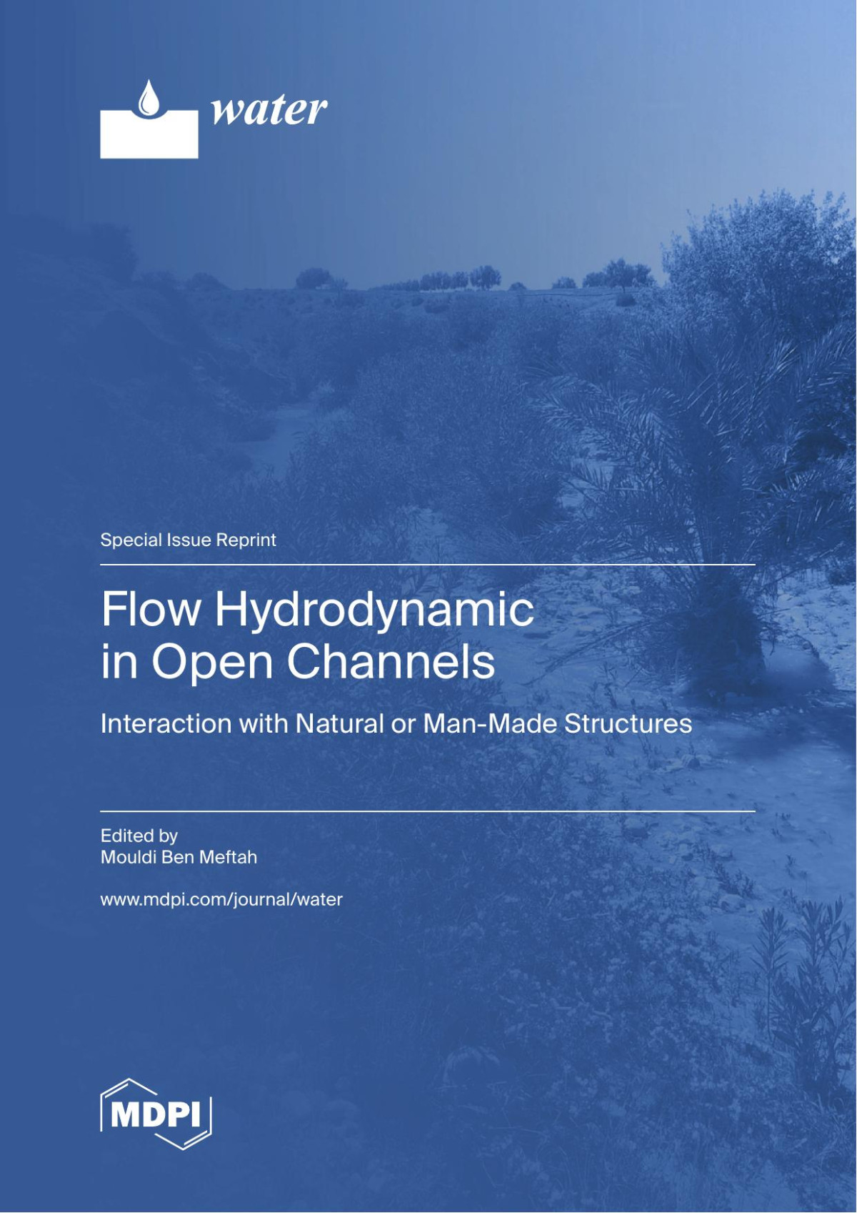 Flow Hydrodynamic In Open Channels Interaction With Natural Or Manmade Structures Mouldi Ben Meftah