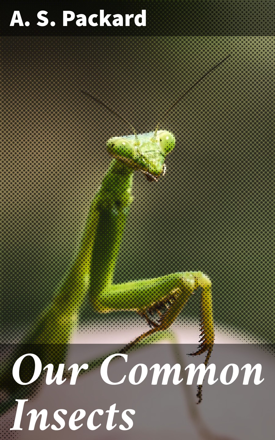Our Common Insects A S Packard