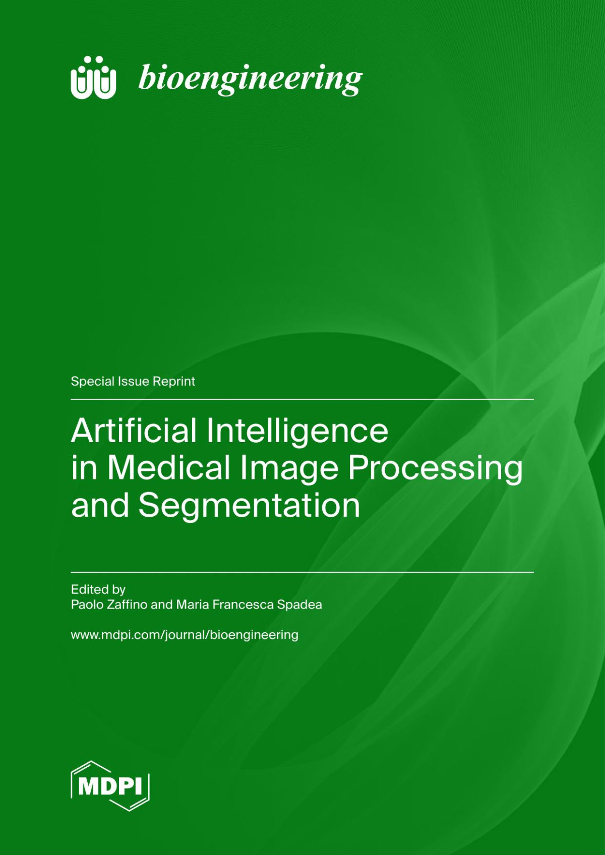 Artificial Intelligence In Medical Image Processing And Segmentation Paolo Zaffino