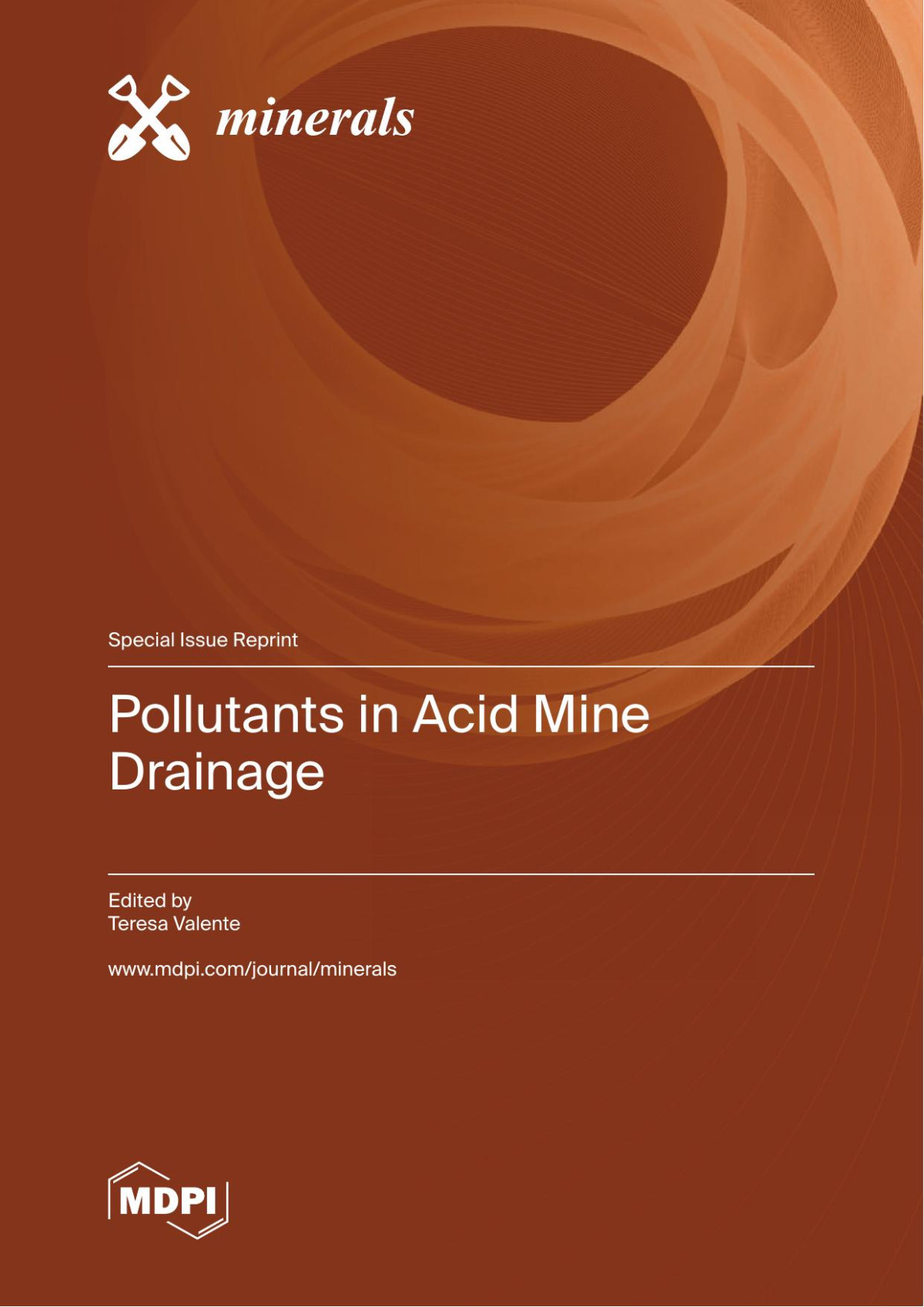 Pollutants In Acid Mine Drainage Teresa Valente