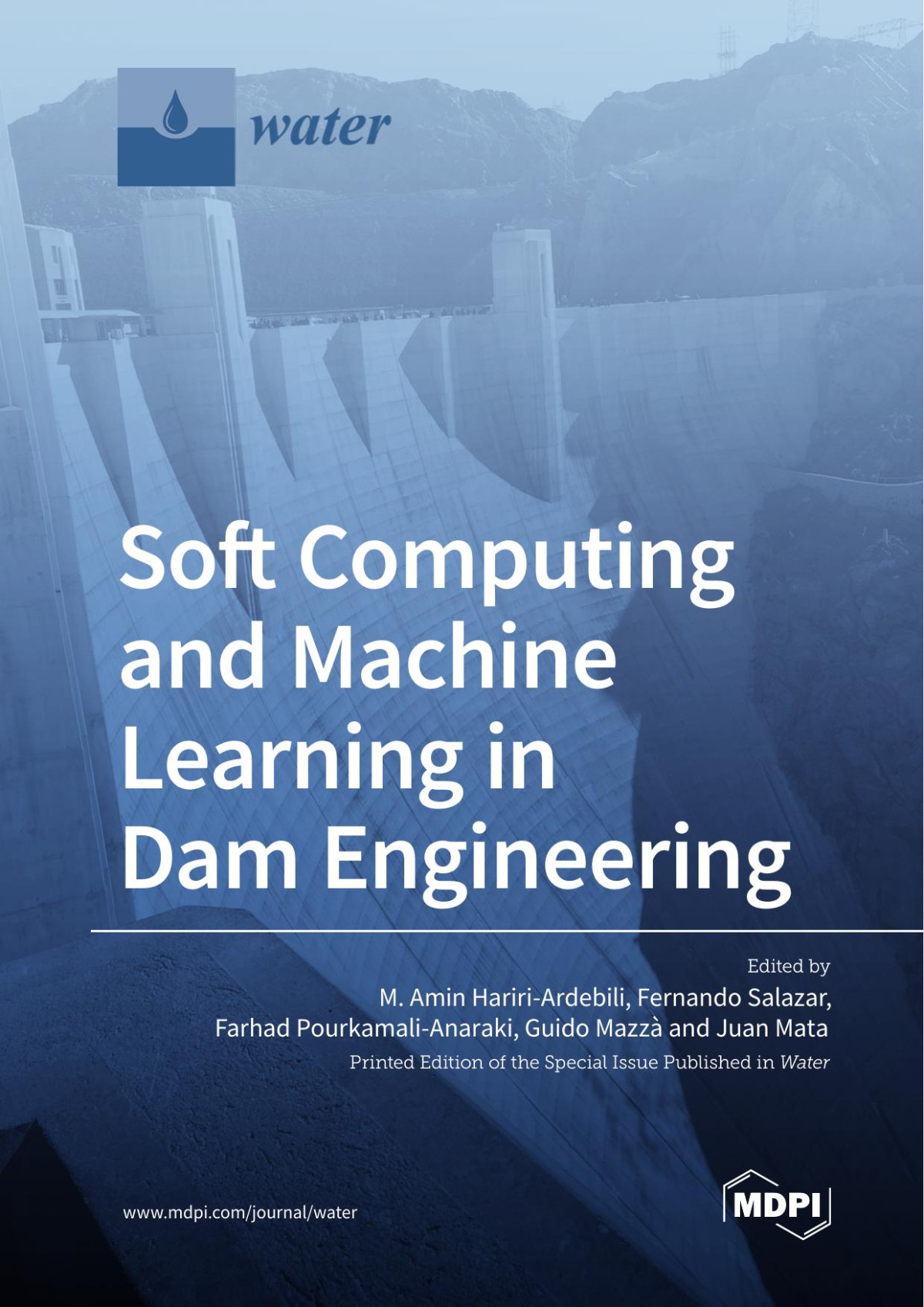 Soft Computing And Machine Learning In Dam Engineering M Amin Haririardebili