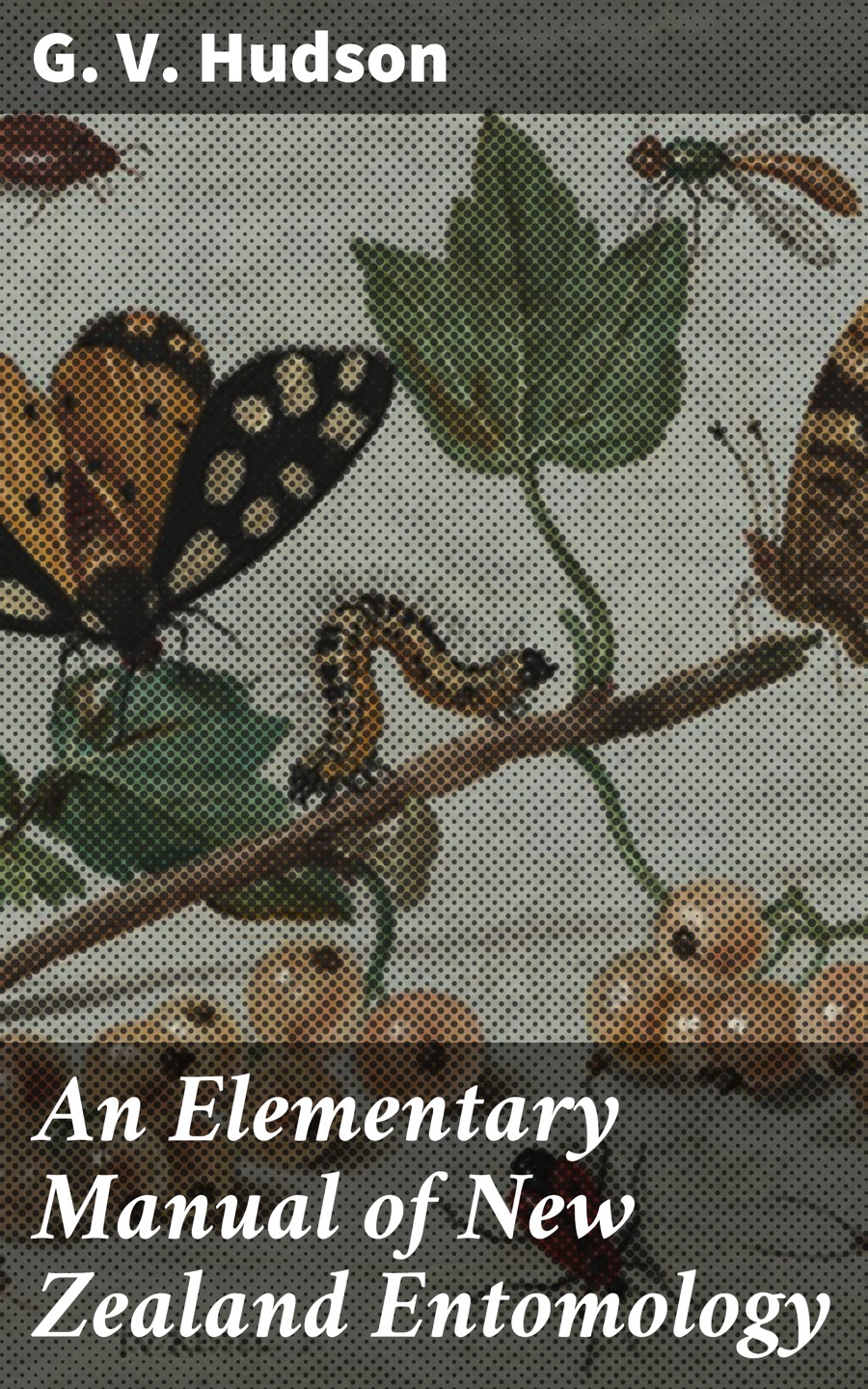 An Elementary Manual Of New Zealand Entomology G V Hudson