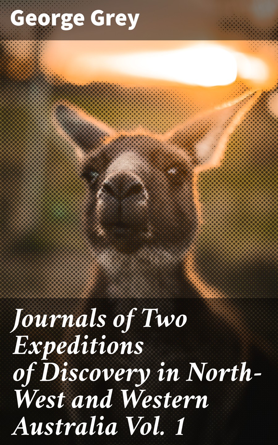 Journals Of Two Expeditions Of Discovery In Northwest And Western Australia Vol 1 George Grey