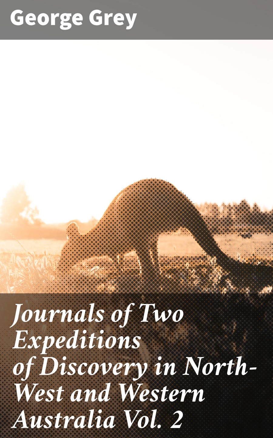 Journals Of Two Expeditions Of Discovery In Northwest And Western Australia Vol 2 George Grey