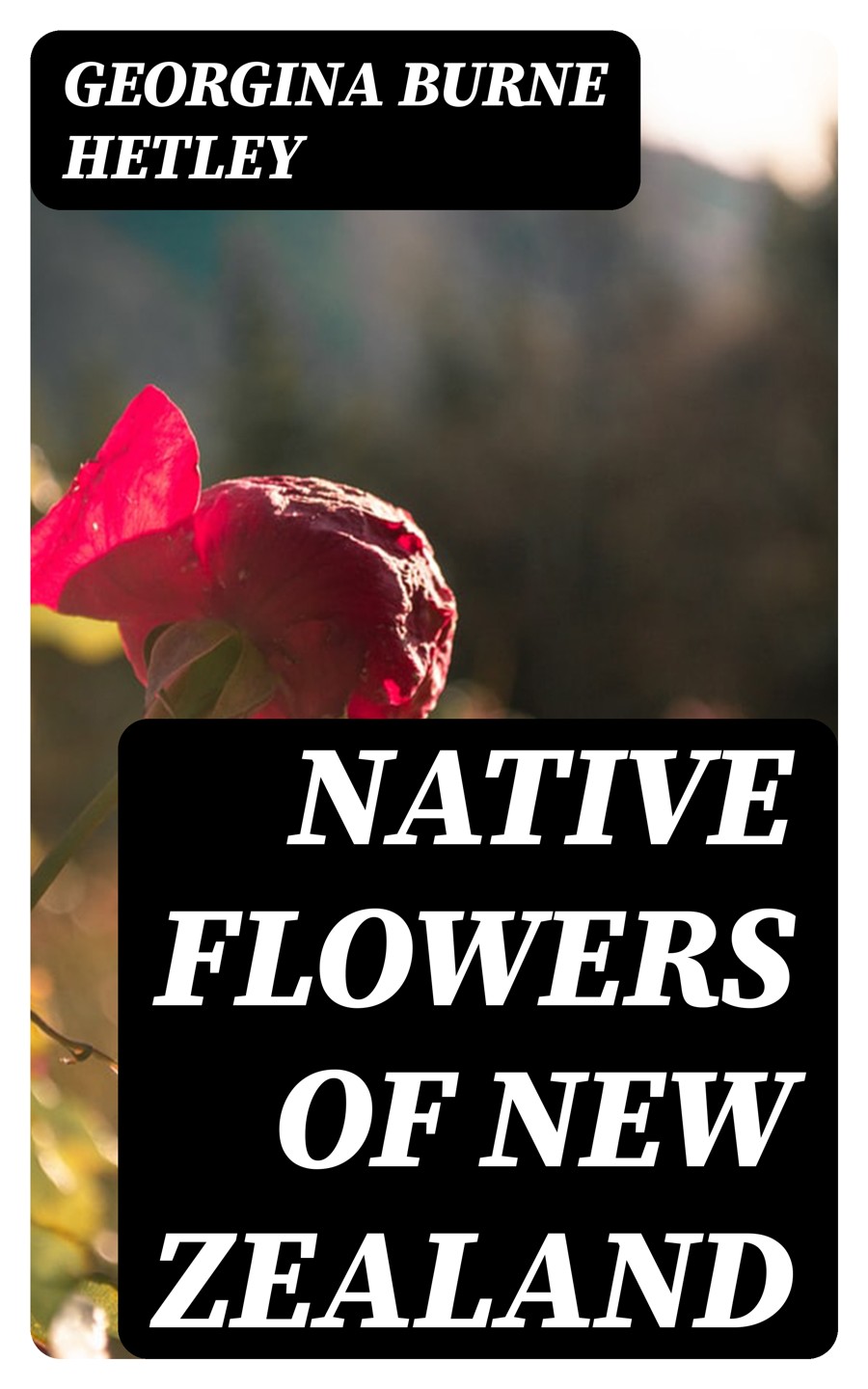 Native Flowers Of New Zealand Georgina Burne Hetley