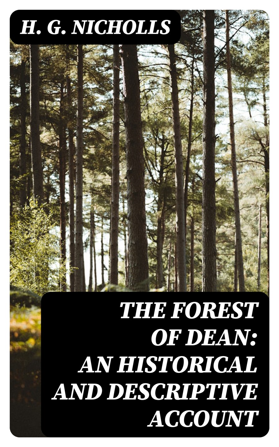 The Forest Of Dean An Historical And Descriptive Account H G Nicholls