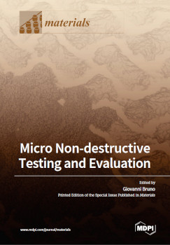 Micro Nondestructive Testing And Evaluation Giovanni Bruno