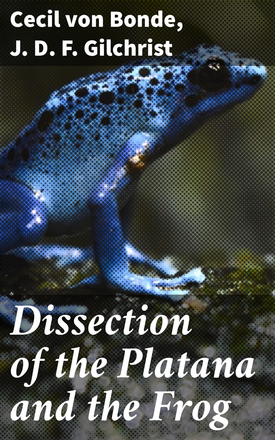 Dissection Of The Platana And The Frog Cecil Von Bonde J D F Gilchrist