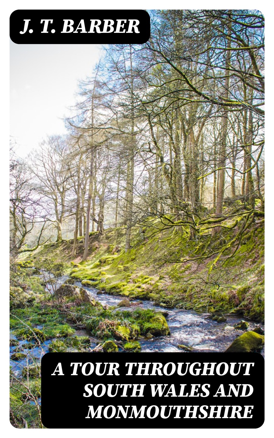 A Tour Throughout South Wales And Monmouthshire J T Barber