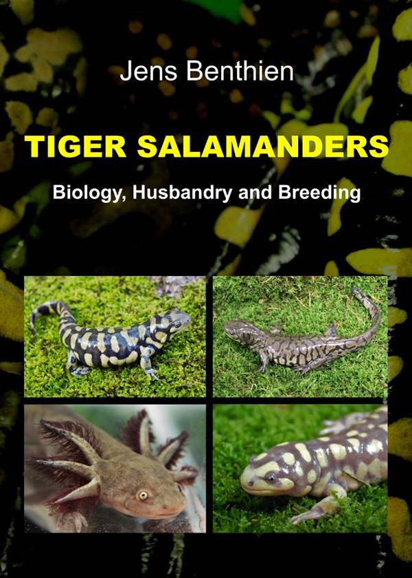 Tiger Salamanders Biology Husbandry And Breeding Jens Benthien