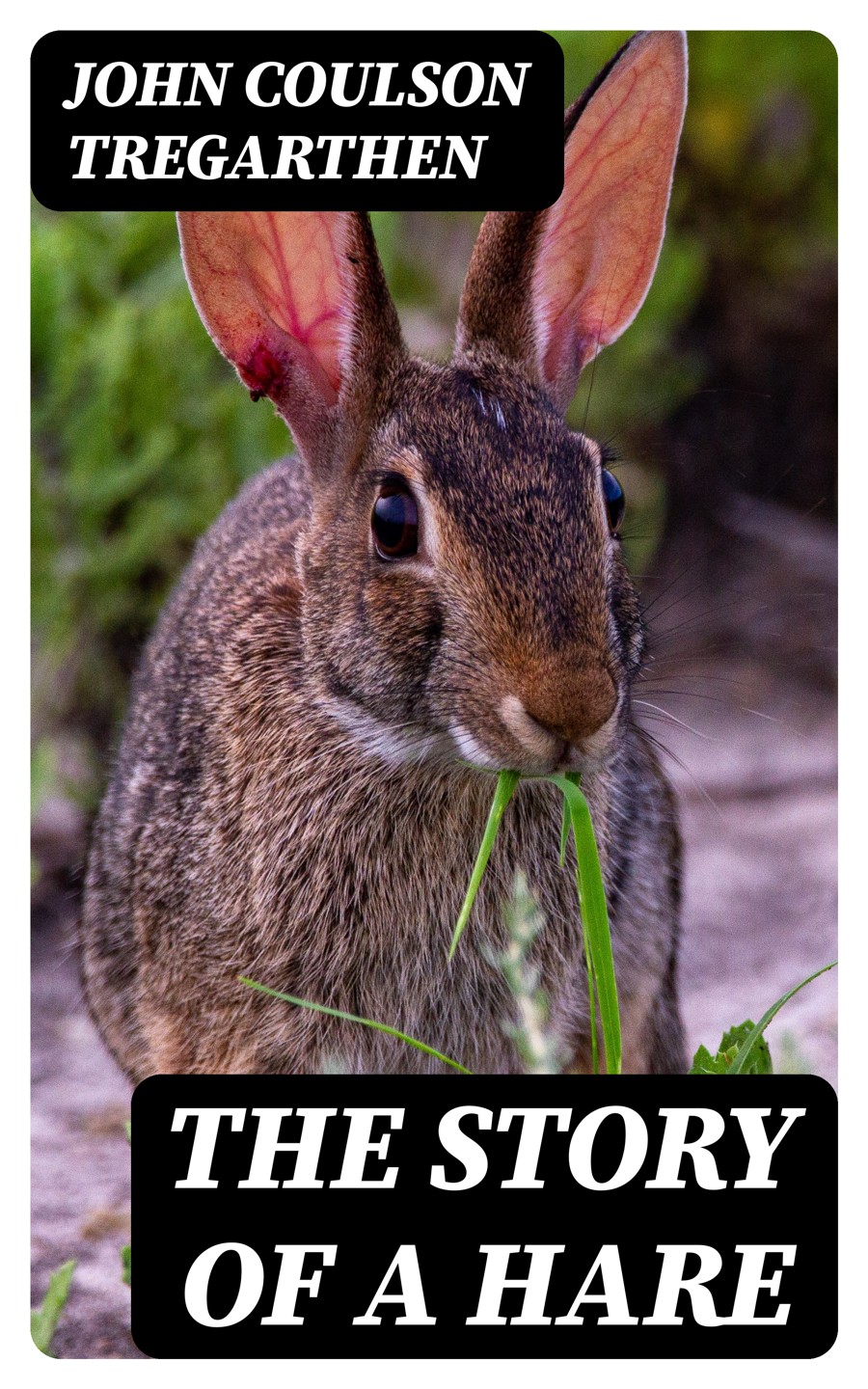 The Story Of A Hare John Coulson Tregarthen