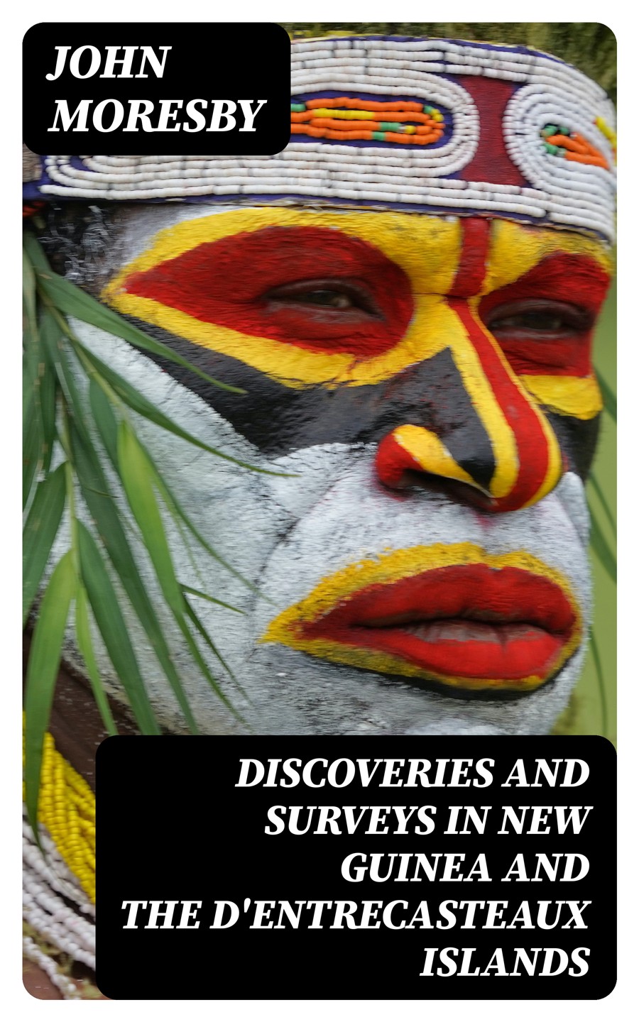 Discoveries And Surveys In New Guinea And The Dentrecasteaux Islands John Moresby