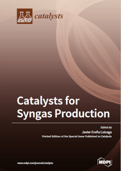 Catalysts For Syngas Production Javier Erea Loizaga
