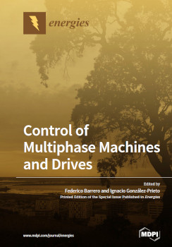 Control Of Multiphase Machines And Drives Federico Barrero Ignacio Gonzlezprieto
