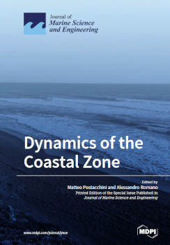 Dynamics Of The Coastal Zone Matteo Postacchini Alessandro Romano