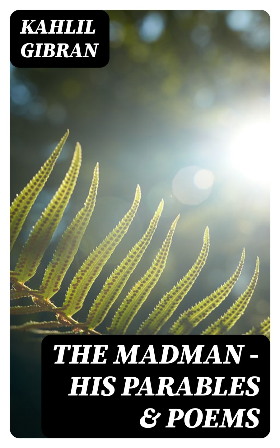 The Madman His Parables Poems Illustrated Kahlil Gibran