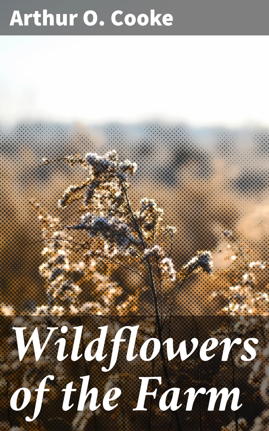 Wildflowers Of The Farm Arthur O Cooke