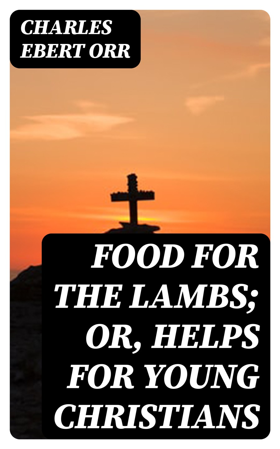 Food For The Lambs Or Helps For Young Christians Charles Ebert Orr