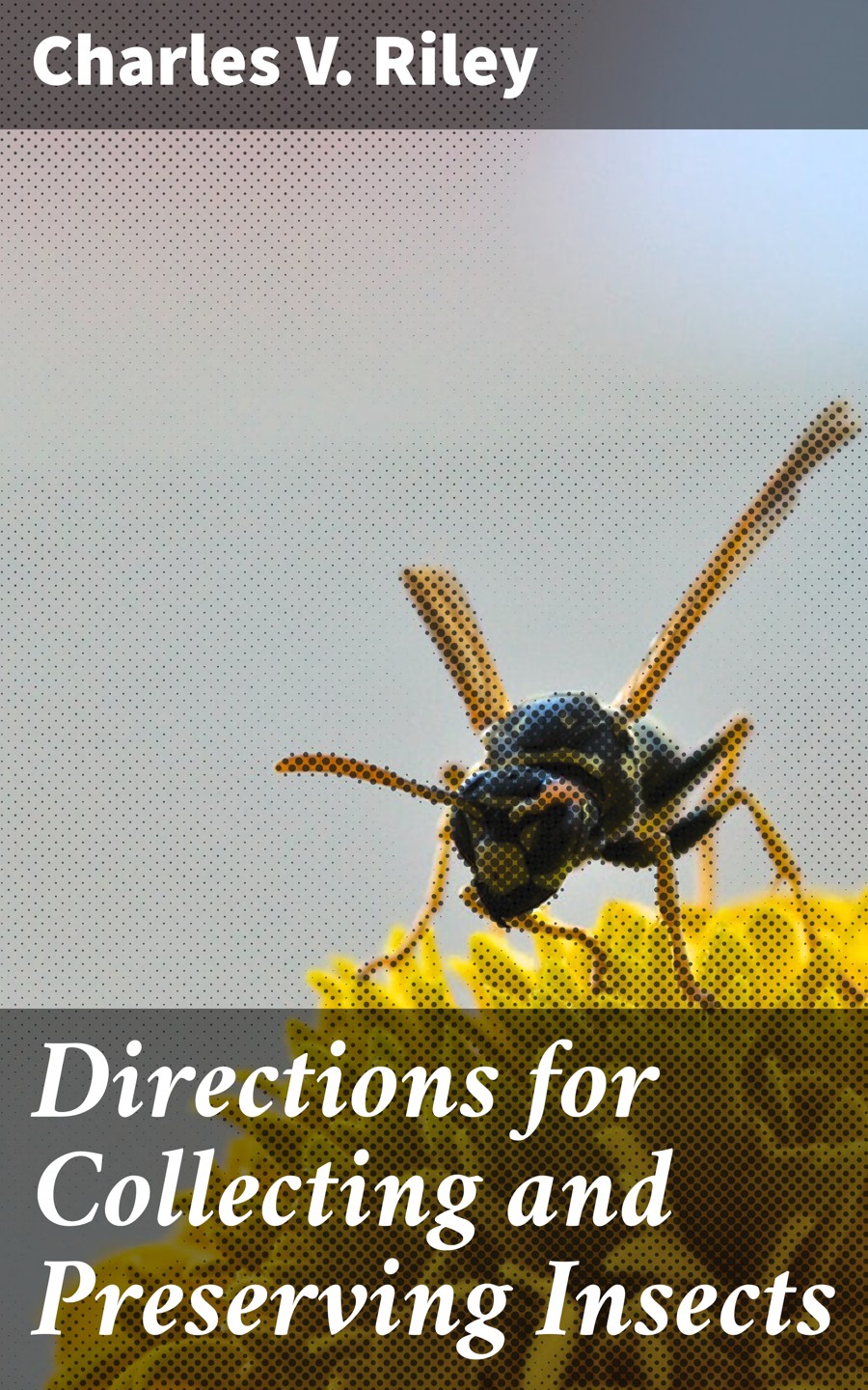 Directions For Collecting And Preserving Insects Charles V Riley