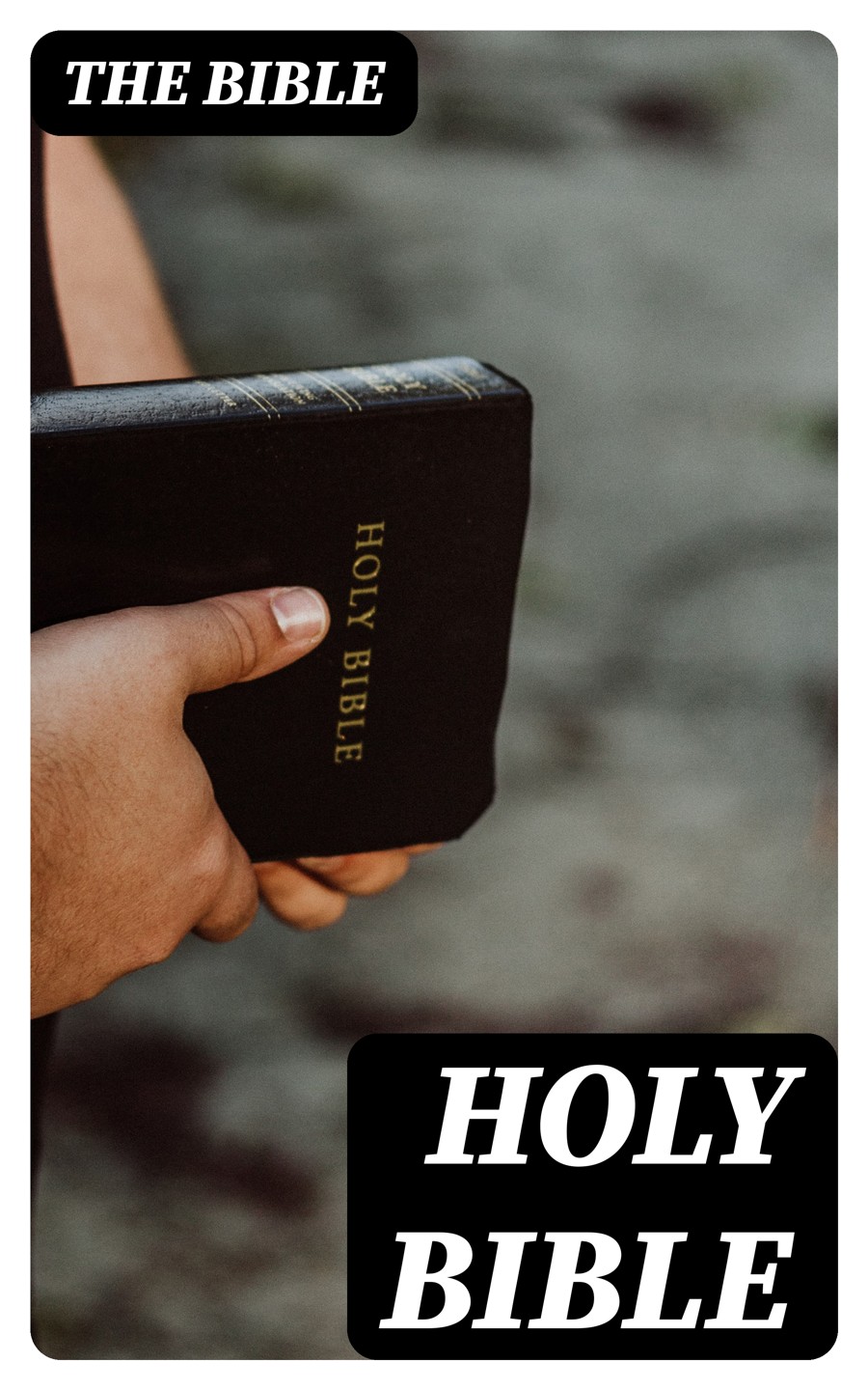 Holy Bible The Bible