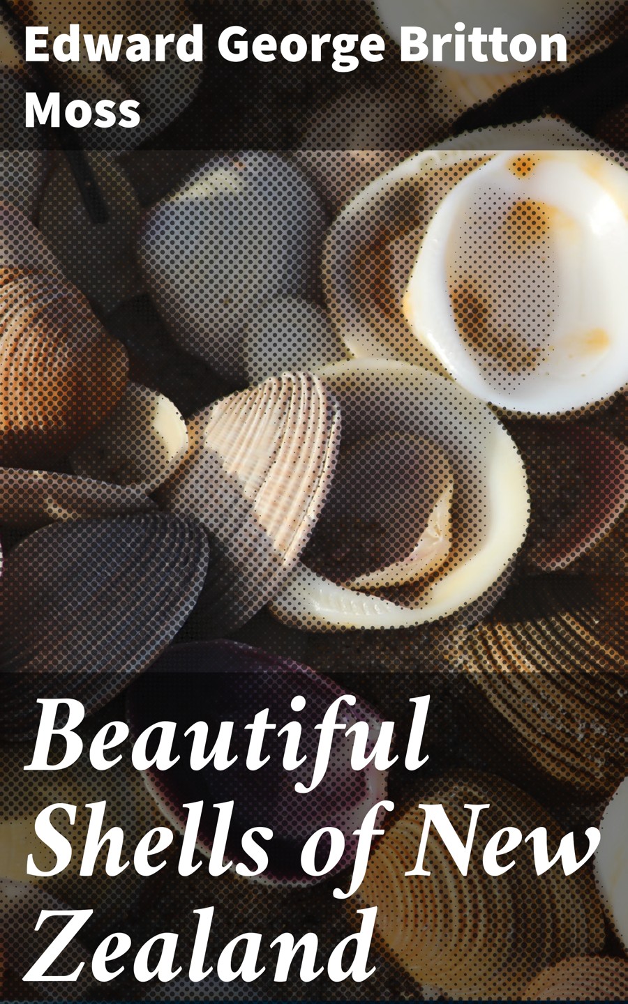 Beautiful Shells Of New Zealand Edward George Britton Moss