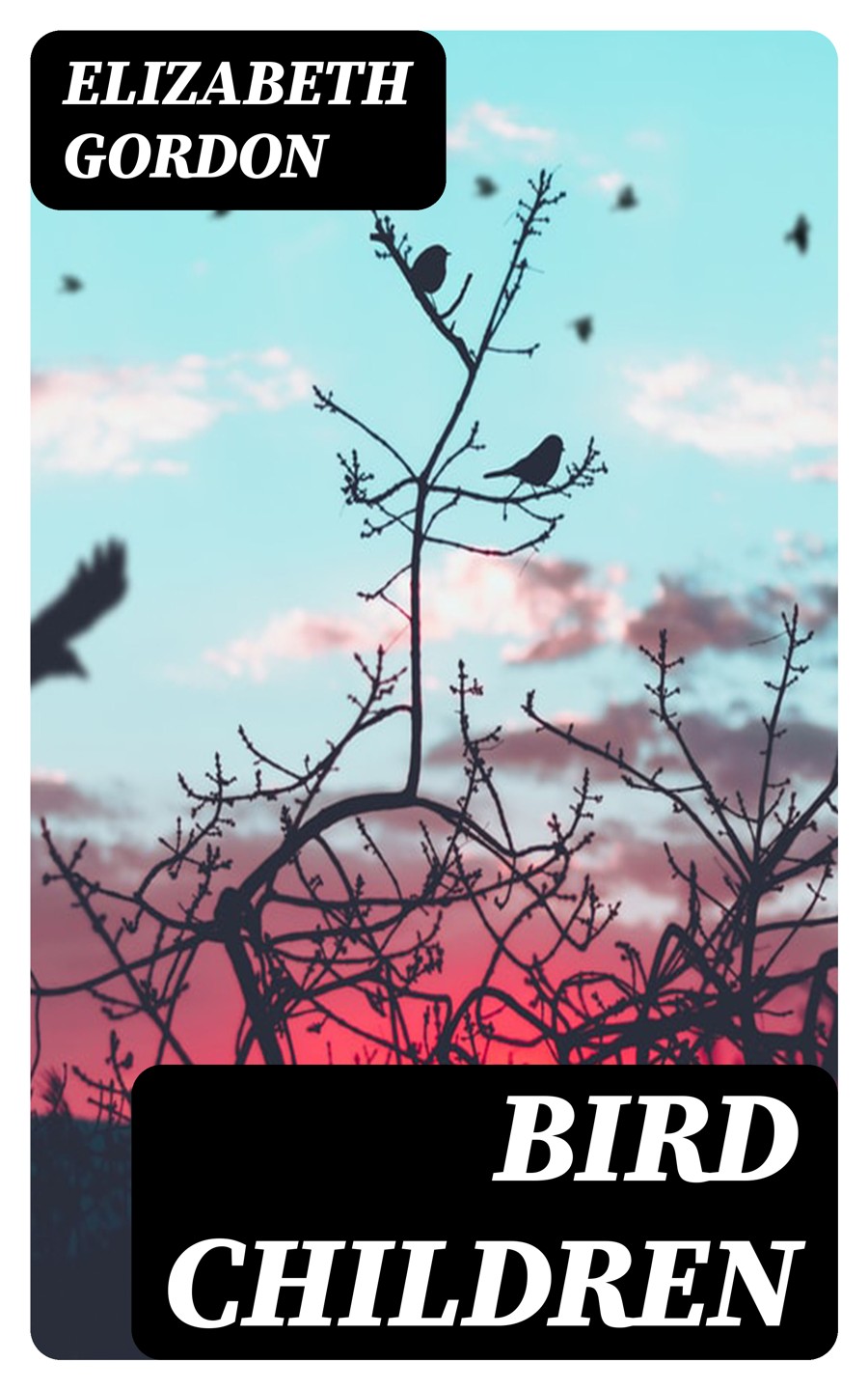 Bird Children Elizabeth Gordon
