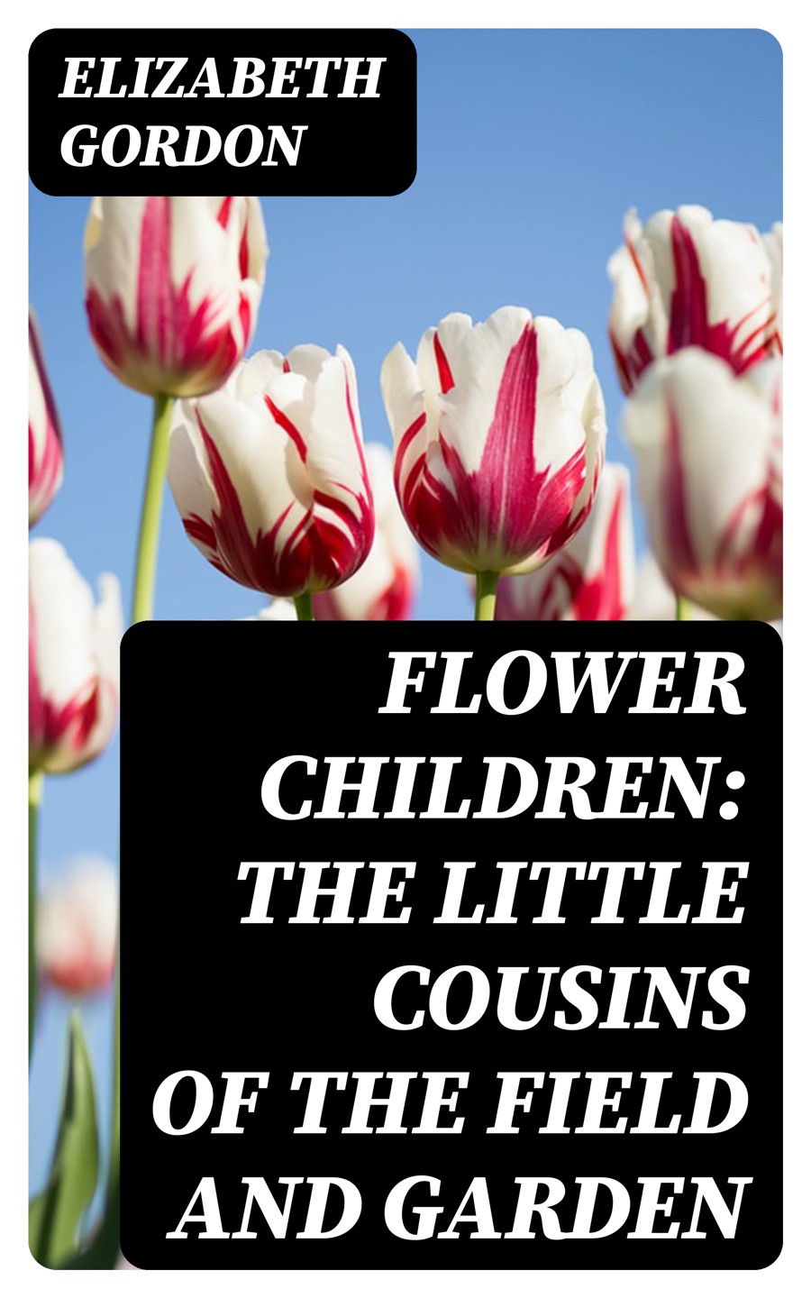 Flower Children The Little Cousins Of The Field And Garden Elizabeth Gordon