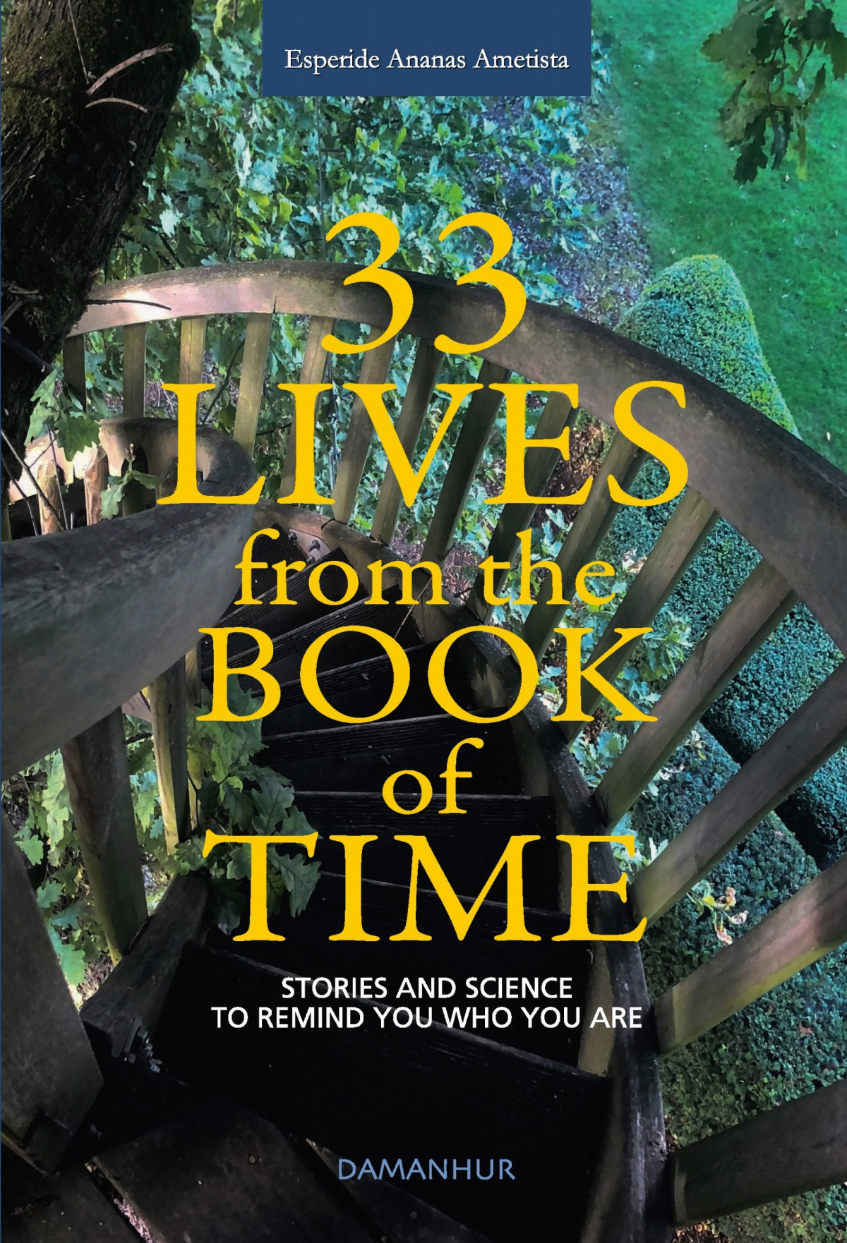 33 Lives From The Book Of Time Esperide Ananas Ametista Silvia Buffagni