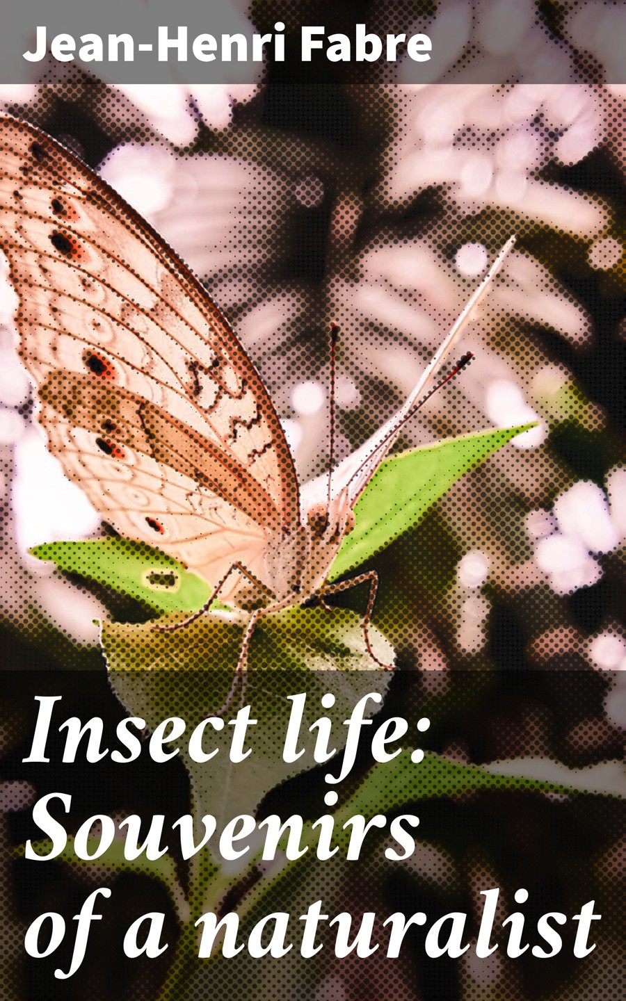 Insect Life Souvenirs Of A Naturalist Jeanhenri Fabre