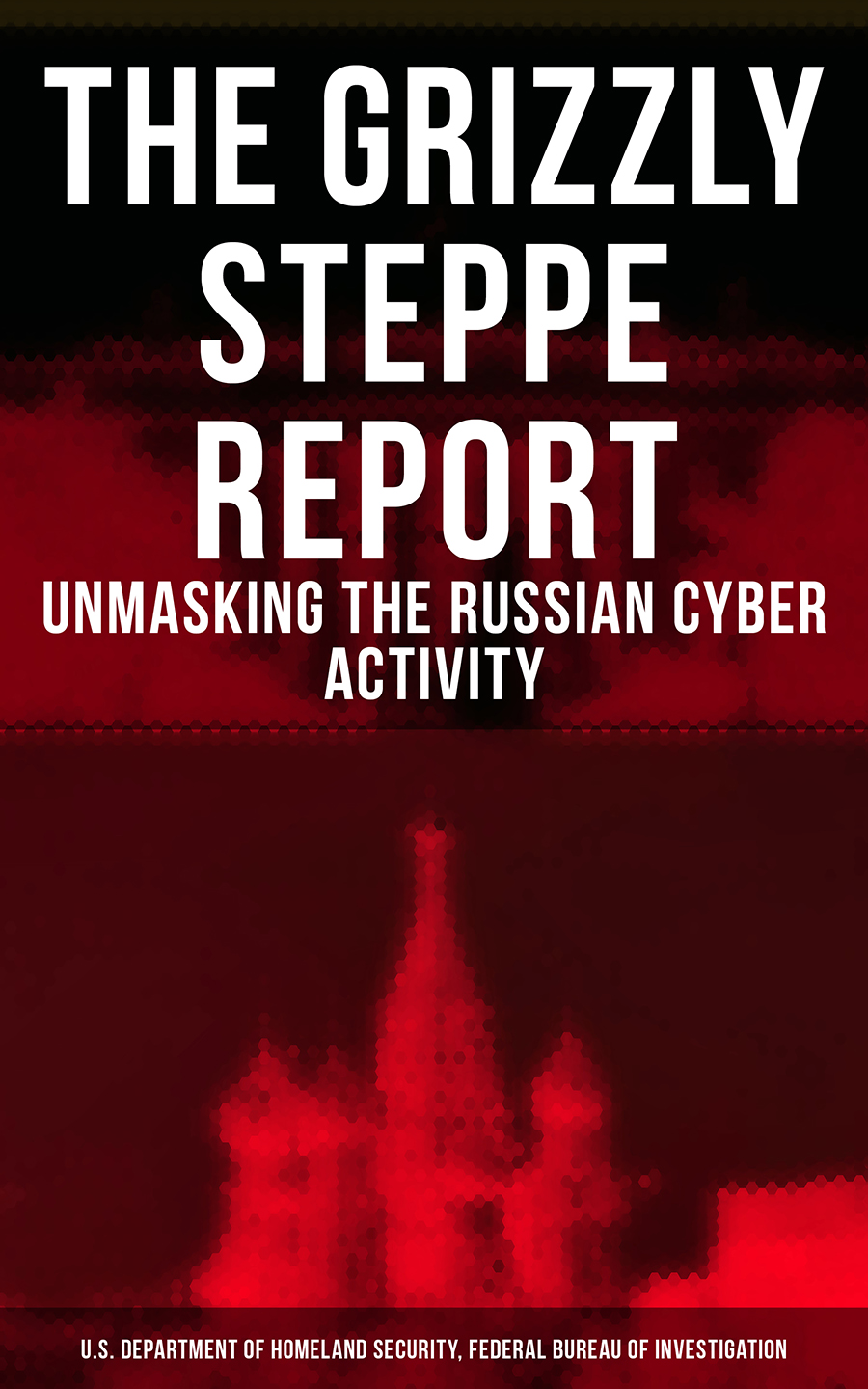 The Grizzly Steppe Report Unmasking The Russian Cyber Activity Us Department Of Homeland Security