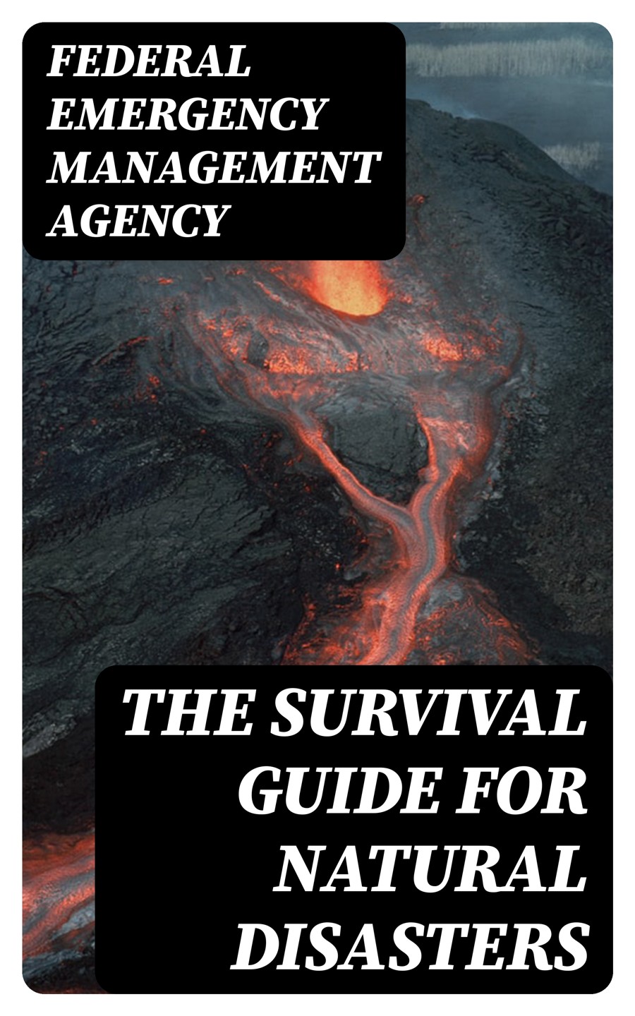 The Survival Guide For Natural Disasters Federal Emergency Management Agency