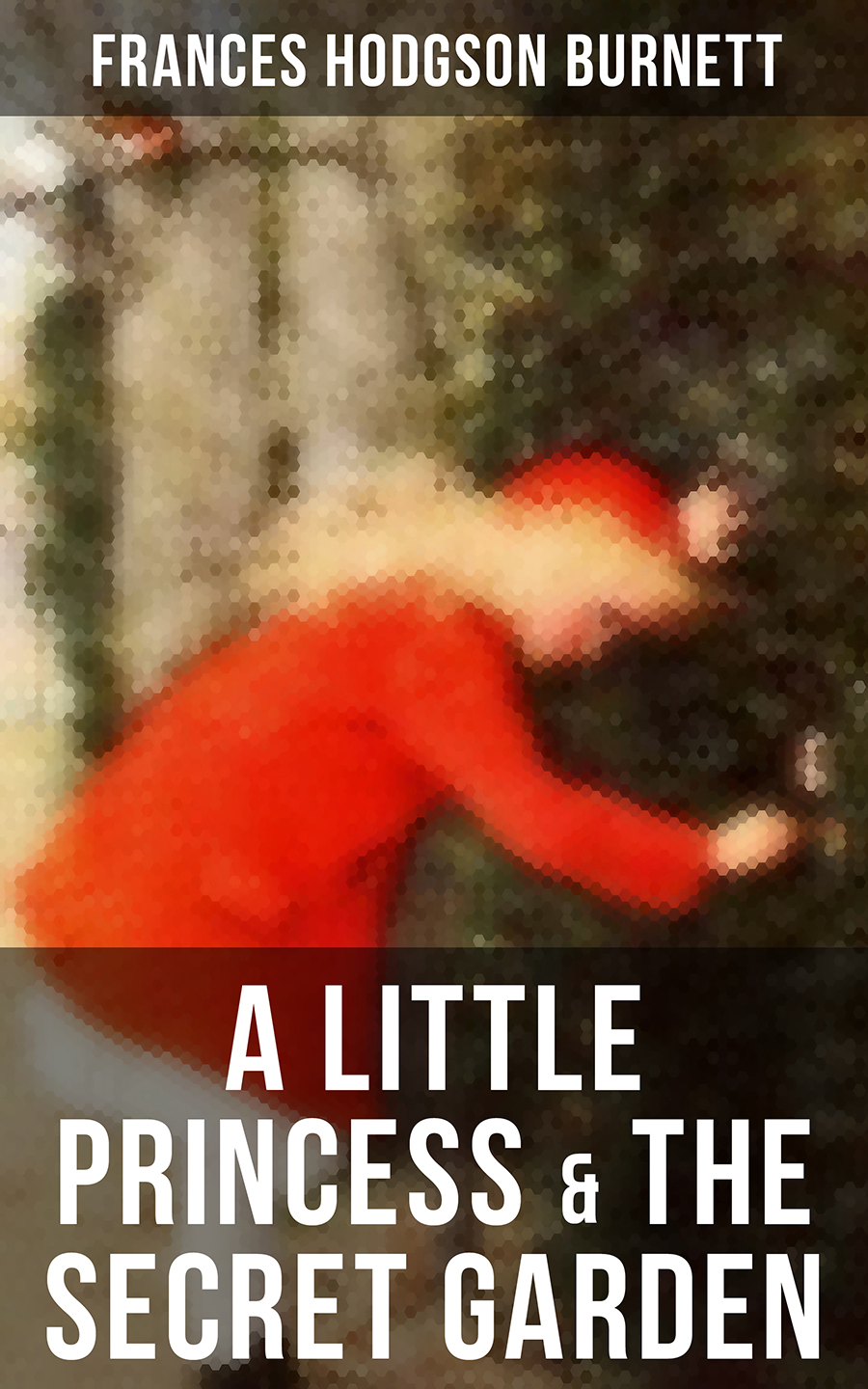 A Little Princess The Secret Garden Frances Hodgson Burnett
