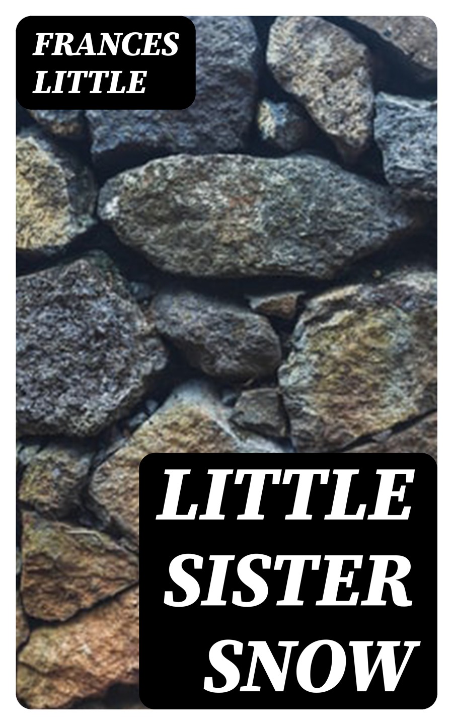 Little Sister Snow Frances Little