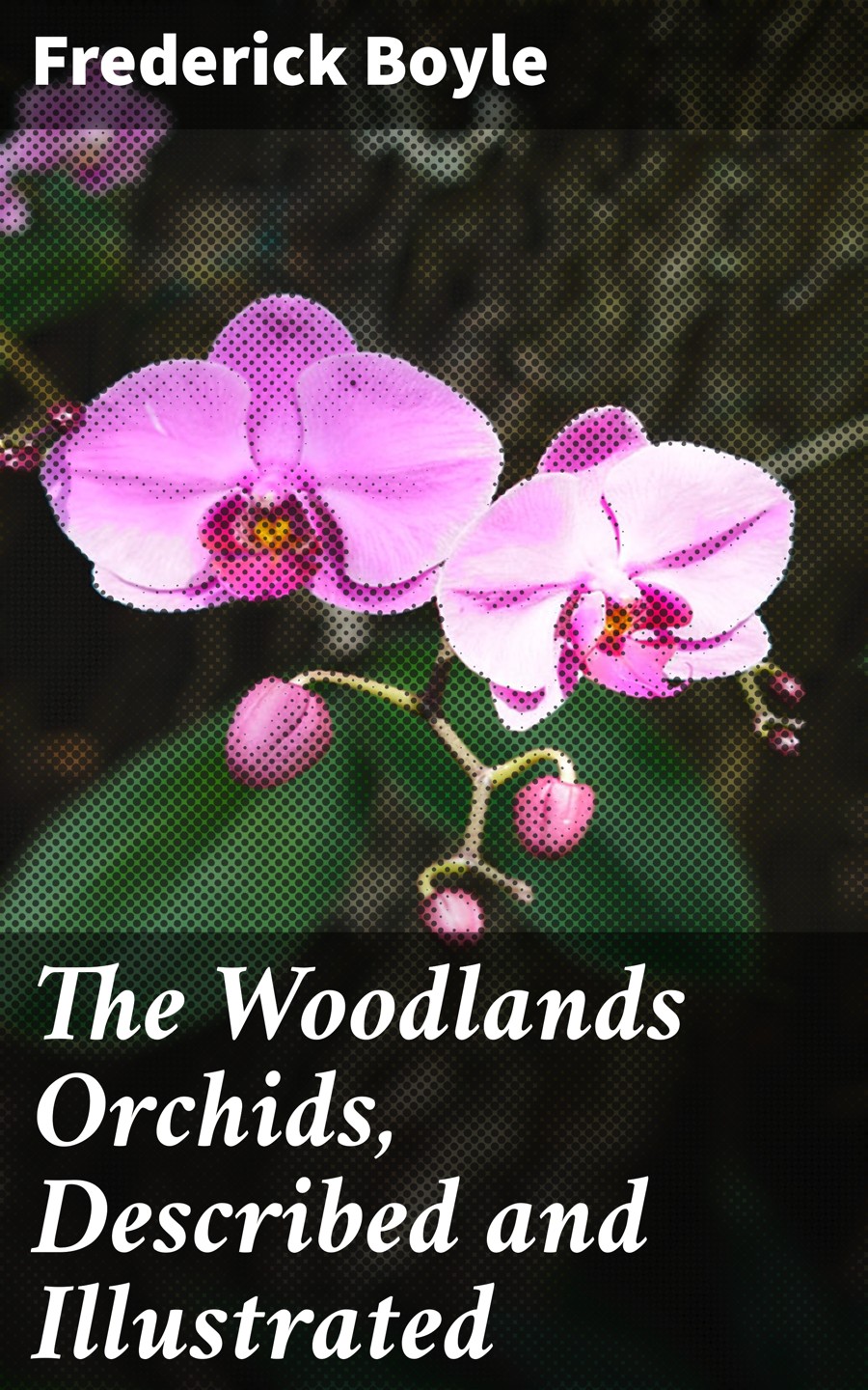 The Woodlands Orchids Described And Illustrated Frederick Boyle