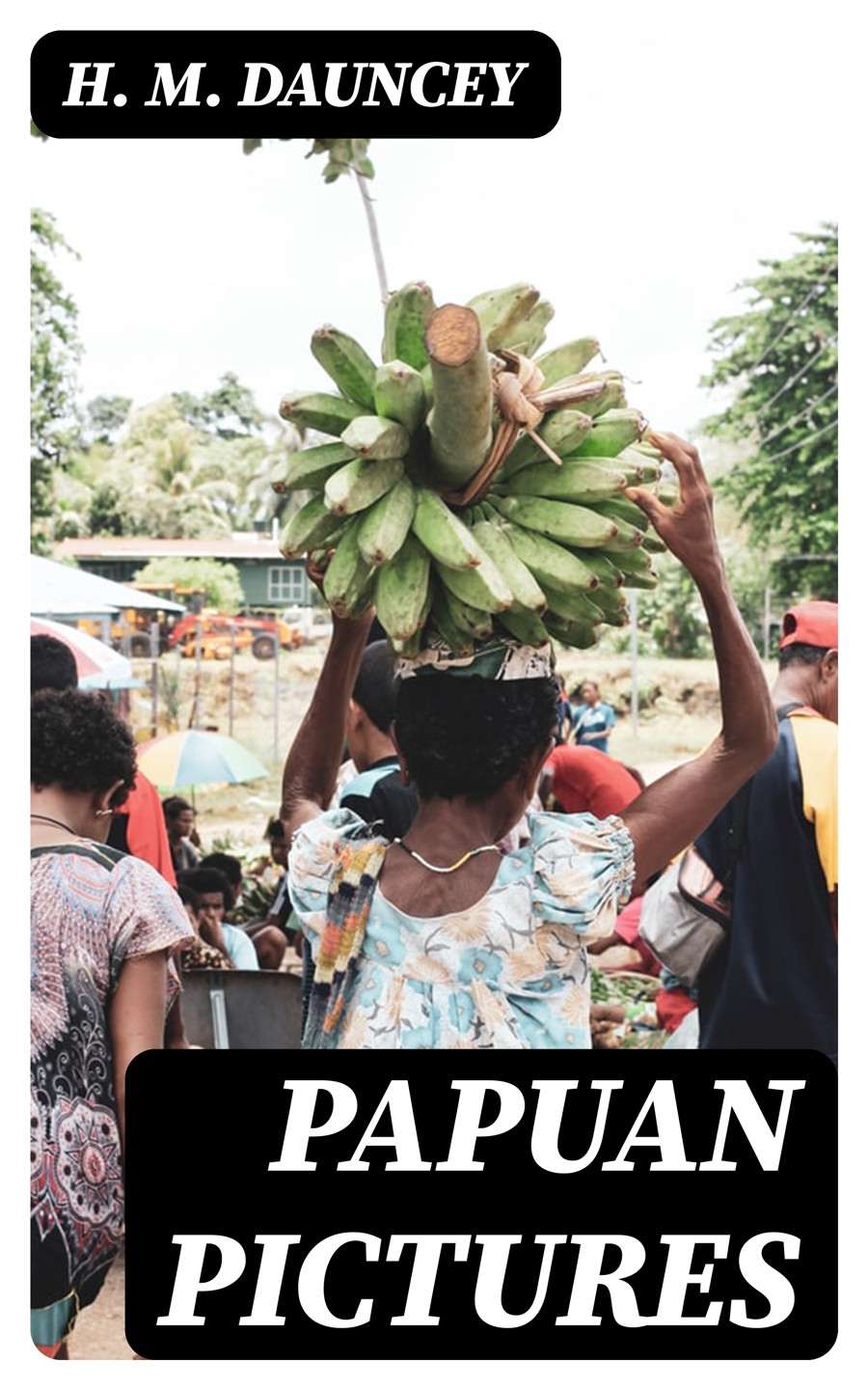 Papuan Pictures H M Dauncey